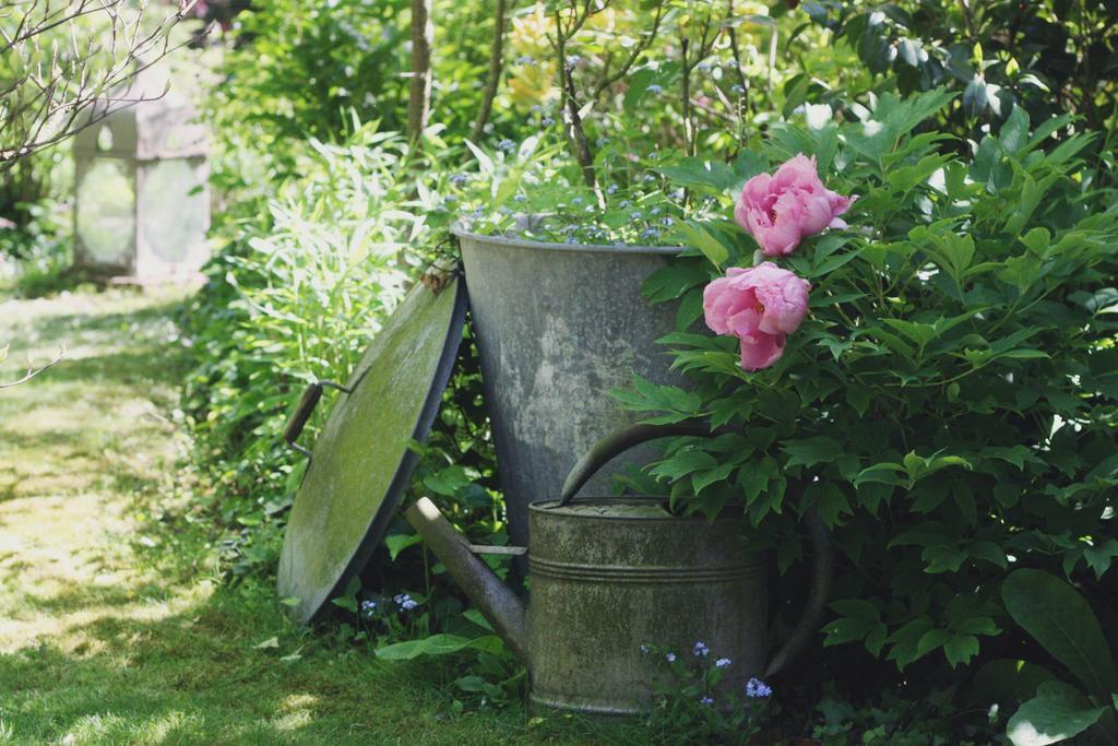 Le Bonheur A La Campagne Bed & Breakfast Lesmont Eksteriør bilde