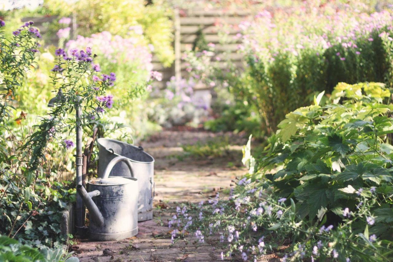 Le Bonheur A La Campagne Bed & Breakfast Lesmont Eksteriør bilde